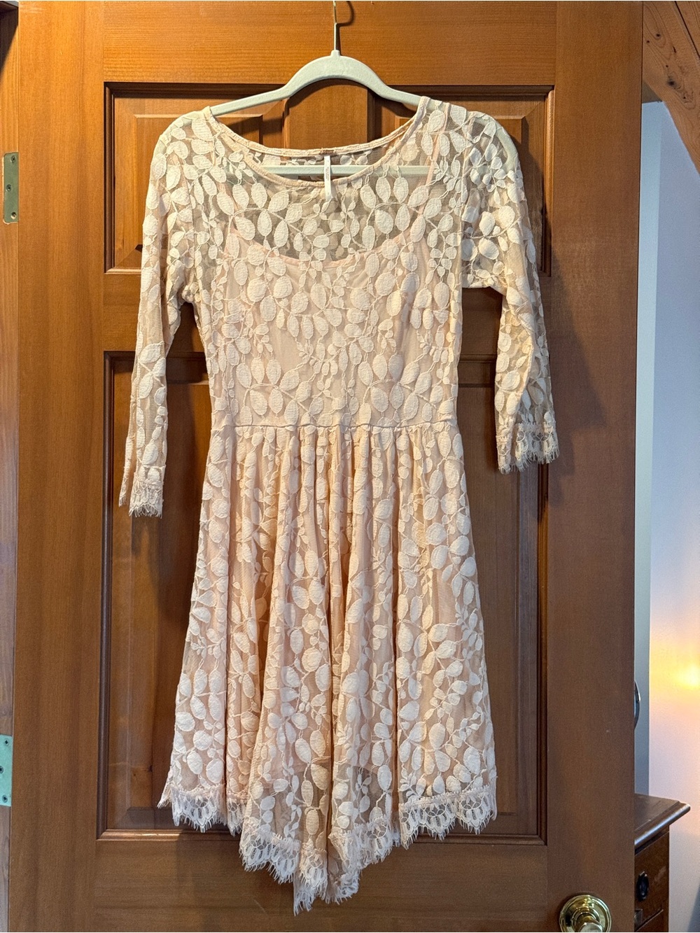 Free People Blush Pink Lace Fit-and-Flare Dress